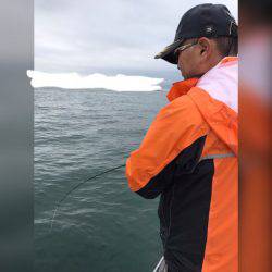 遊漁船メテオ 釣果