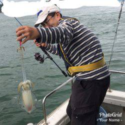 遊漁船メテオ 釣果