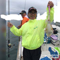 遊漁船メテオ 釣果