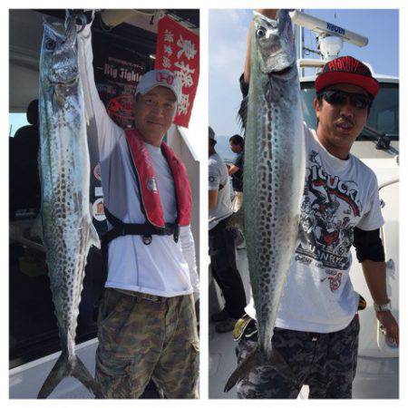 ビッグファイター 釣果