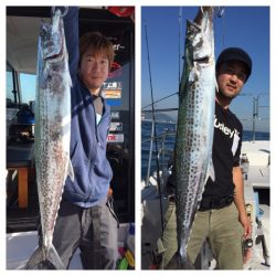 ビッグファイター 釣果