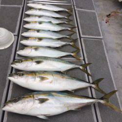 SeaRide(シーライド) 釣果