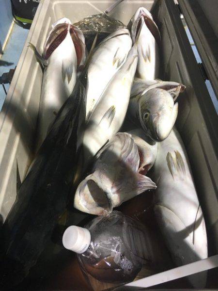 第二八坂丸 釣果