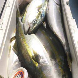 第二八坂丸 釣果