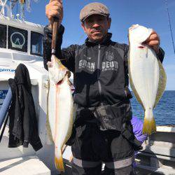 シーランチ 釣果