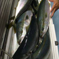 第二八坂丸 釣果