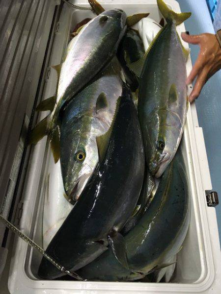 第二八坂丸 釣果