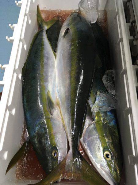 第二八坂丸 釣果