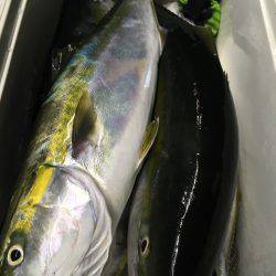 第二八坂丸 釣果