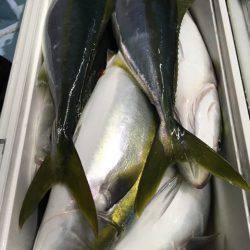 第二八坂丸 釣果