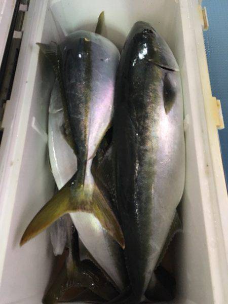 第二八坂丸 釣果