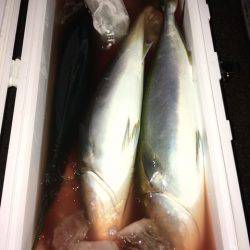 第二八坂丸 釣果