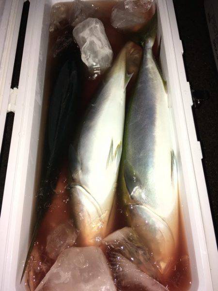 第二八坂丸 釣果