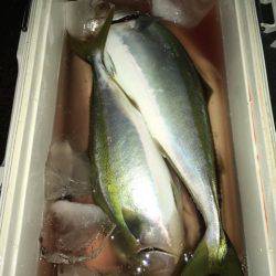 第二八坂丸 釣果