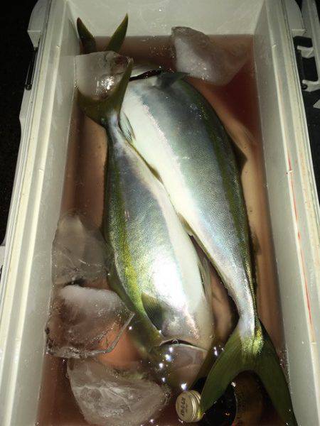 第二八坂丸 釣果