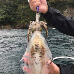 まるいち丸 ZERO-1 釣果