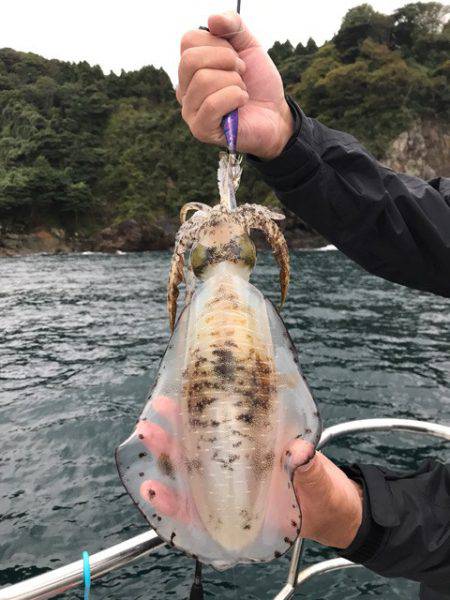 まるいち丸 ZERO-1 釣果