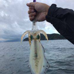 まるいち丸 ZERO-1 釣果