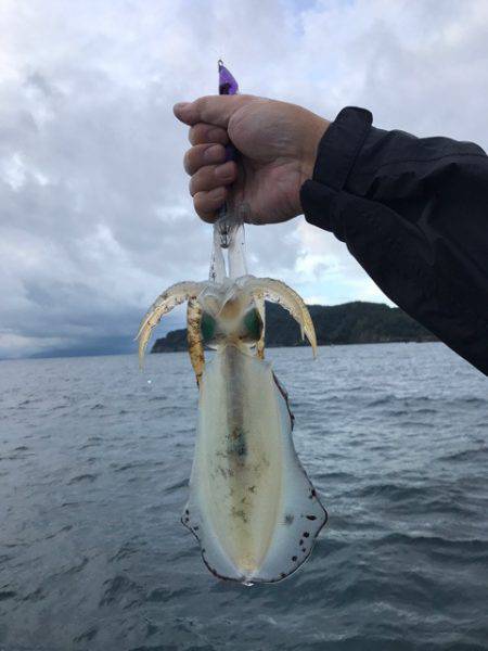 まるいち丸 ZERO-1 釣果