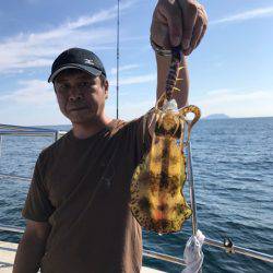 まるいち丸 ZERO-1 釣果