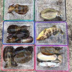 まるいち丸 ZERO-1 釣果