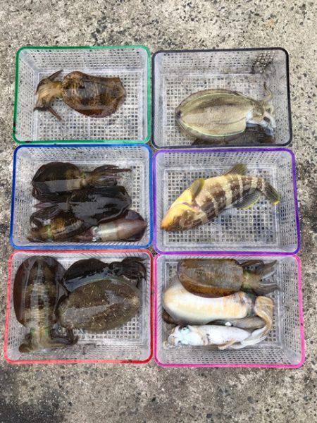 まるいち丸 ZERO-1 釣果