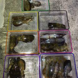 まるいち丸 ZERO-1 釣果