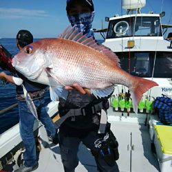 海季丸(みきまる) 釣果