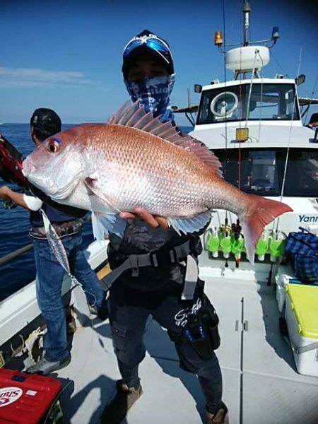 海季丸(みきまる) 釣果