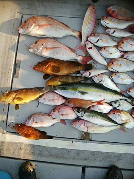 海季丸（みきまる） 釣果