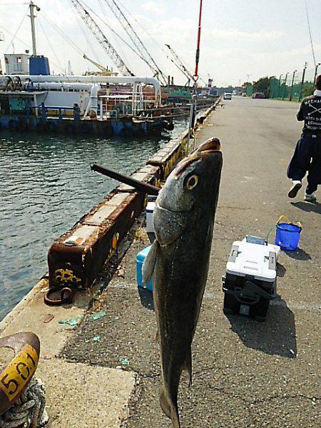 KO-SHIN丸 釣果
