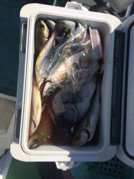 丸万釣船 釣果