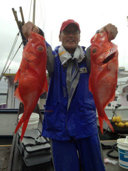 晃山丸 釣果