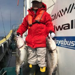 シーランチ 釣果