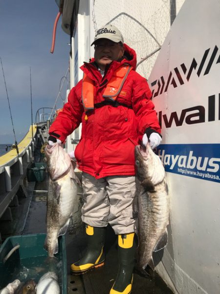 シーランチ 釣果