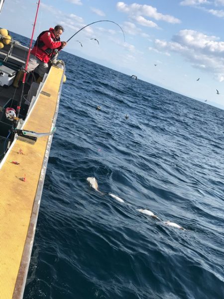 シーランチ 釣果