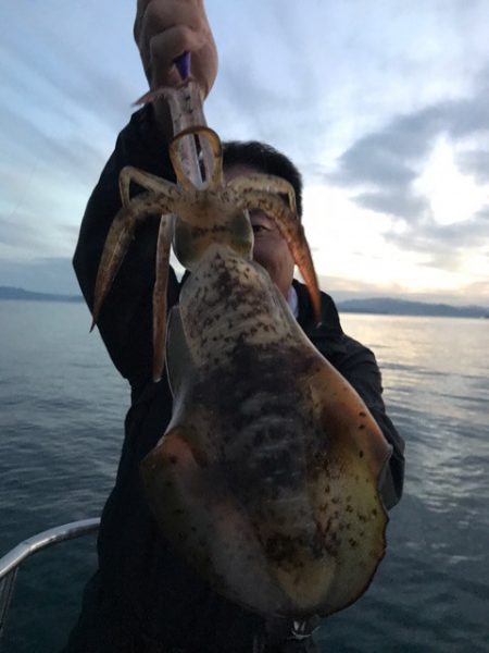 まるいち丸 ZERO-1 釣果