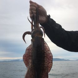 まるいち丸 ZERO-1 釣果