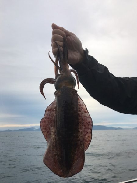 まるいち丸 ZERO-1 釣果