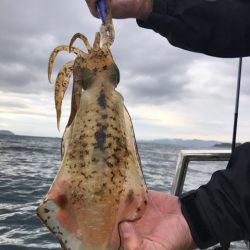 まるいち丸 ZERO-1 釣果