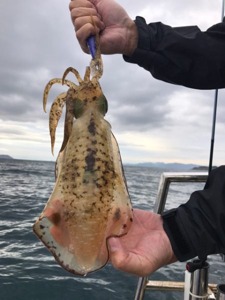 まるいち丸 ZERO-1 釣果