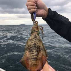 まるいち丸 ZERO-1 釣果