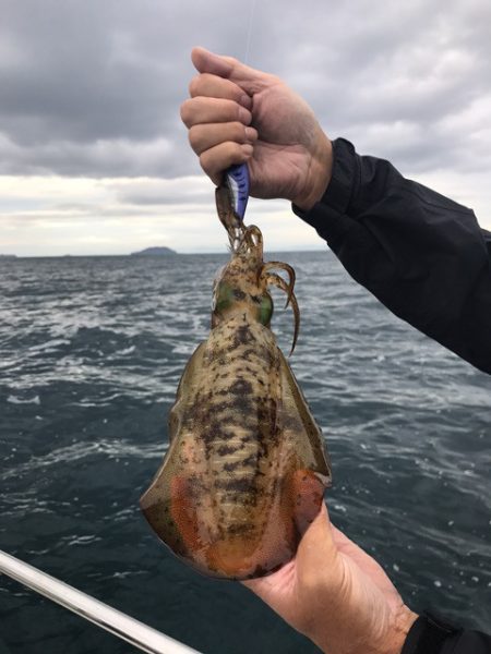 まるいち丸 ZERO-1 釣果