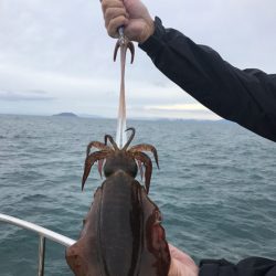 まるいち丸 ZERO-1 釣果