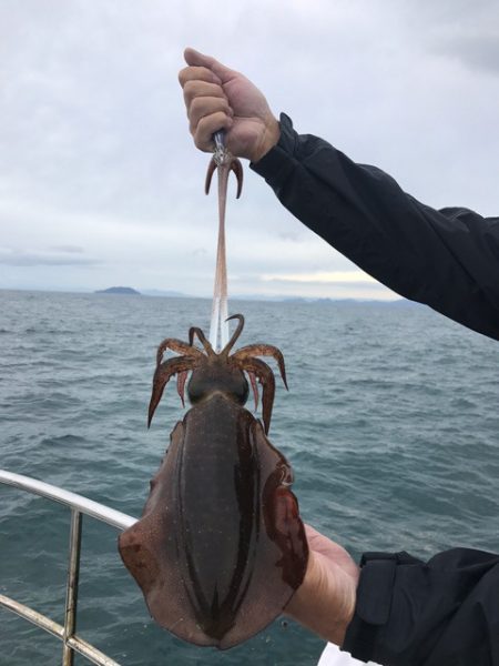 まるいち丸 ZERO-1 釣果