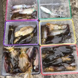 まるいち丸 ZERO-1 釣果