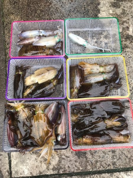 まるいち丸 ZERO-1 釣果