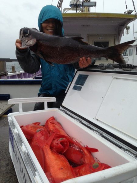 晃山丸 釣果