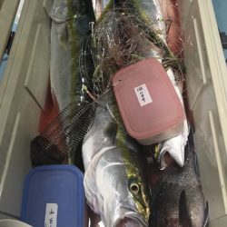 第二八坂丸 釣果