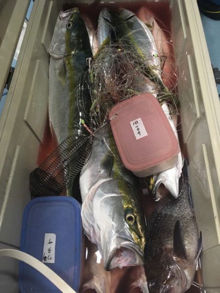 第二八坂丸 釣果